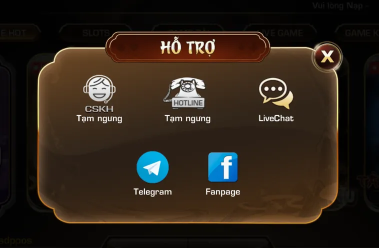 Hỗ Trợ Đa Kênh - Trực Tiếp - Chuyên Nghiệp - Sẵn Sàng 24/7